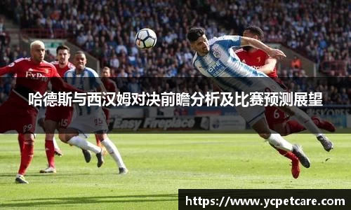 哈德斯与西汉姆对决前瞻分析及比赛预测展望