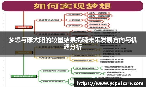 梦想与康太阳的较量结果揭晓未来发展方向与机遇分析