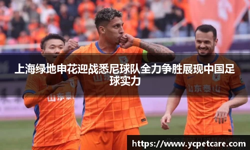 上海绿地申花迎战悉尼球队全力争胜展现中国足球实力
