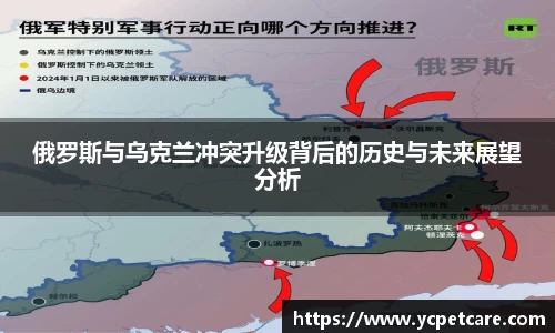 贝博bb艾弗森官网