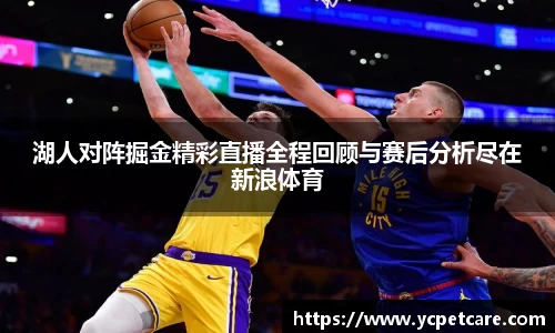 湖人对阵掘金精彩直播全程回顾与赛后分析尽在新浪体育