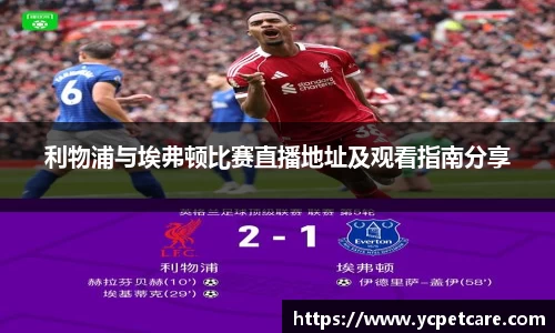 利物浦与埃弗顿比赛直播地址及观看指南分享