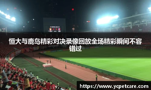 恒大与鹿岛精彩对决录像回放全场精彩瞬间不容错过
