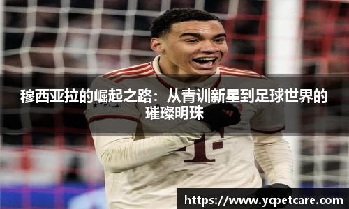 穆西亚拉的崛起之路：从青训新星到足球世界的璀璨明珠