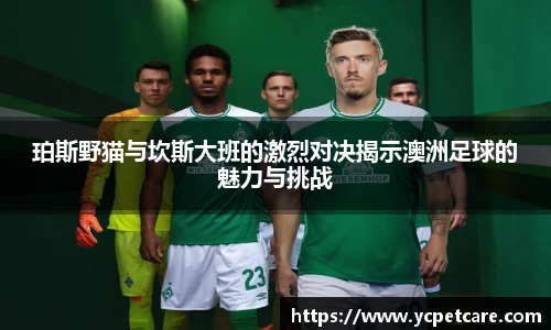 ballbet贝博bb艾弗森