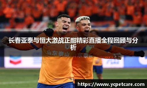 贝博bb艾弗森官网