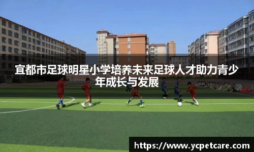 宜都市足球明星小学培养未来足球人才助力青少年成长与发展