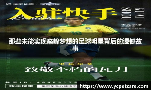 贝博bb艾弗森官网