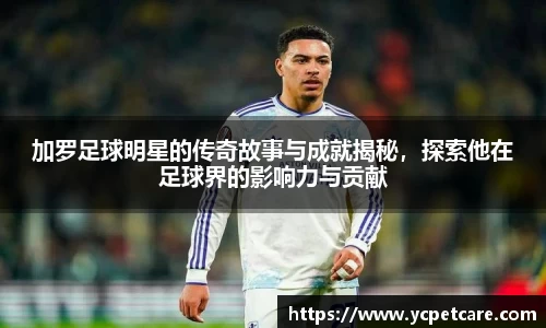 bb贝博艾弗森官方网站