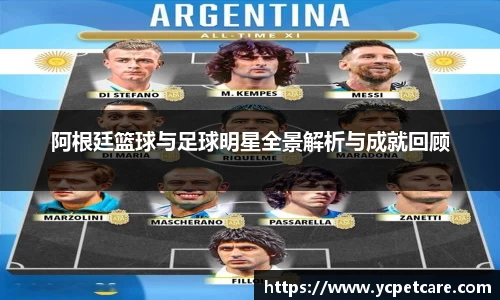 贝博bb艾弗森官网