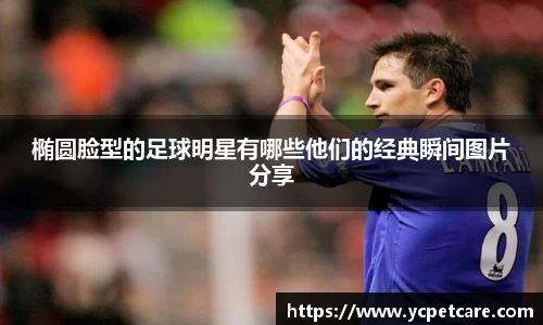 椭圆脸型的足球明星有哪些他们的经典瞬间图片分享