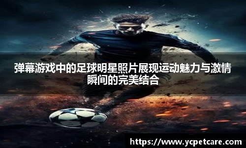 BB贝博中国官网