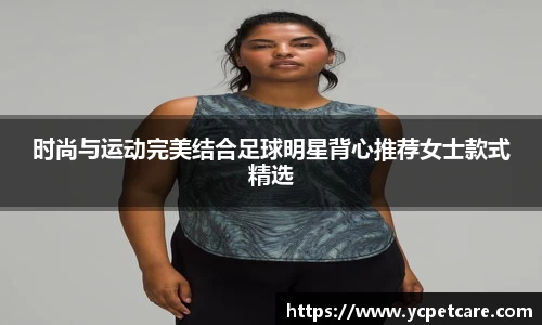 BB贝博中国官网