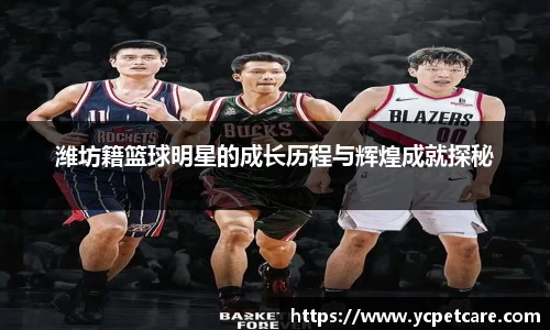 BB贝博中国官网