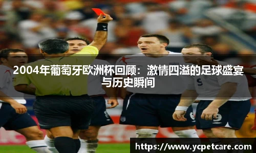 2004年葡萄牙欧洲杯回顾：激情四溢的足球盛宴与历史瞬间